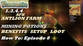 Terraria 1344 HOW TO  Build an AFK Antlion Farm  Expert  Mining Potions  Episode 8 [upl. by Beatty]