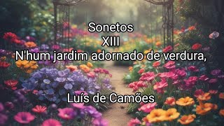 Luís de Camões  Sonetos XIII  Nhum jardim adornado de verdura [upl. by Enavi]