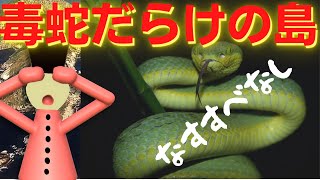 島内は5分に1匹以上蛇に出会ってしまう蛇天国。そのあだ名は「スネークアイランド」最強の毒を持つそのヘビの正体教えます【図解入りでわかりやすい】 [upl. by Oijres]