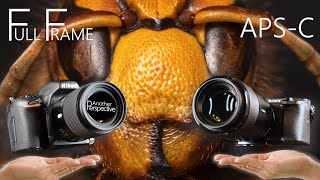 APSC Sensor vs FULL FRAME  Is it worth UPGRADING [upl. by Letnahs]