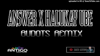 Ramz Antigo  Answer The Phone x Halukay Ube  Budots Remix  2021 [upl. by Nylesoy]