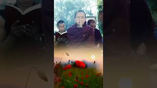 Dzongsar jamyang khyentse Rinpoche kalop [upl. by Oiramat]