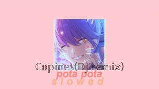 Copines remix slowed  Dj tiktok  Dj Pota pota  remix [upl. by Nyleak711]