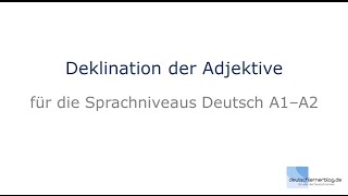 Adjektivdeklination  Deutsch lernen A1A2 [upl. by Itteb]