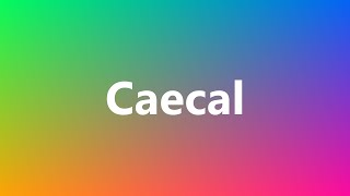 Caecal  Medical Meaning and Pronunciation [upl. by Nairrod266]