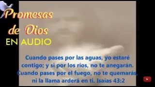 Promesas de Dios Audio Completo [upl. by Anwat482]