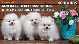 10 Hours Ultrasonic Sound To Stop Your Dog From Barking  Anti Bark Control [upl. by Mingche]