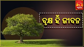 Tree is Life  Odia News ବୃକ୍ଷ ହିଁ ଜୀବନ  Messege VIRAL NEWS   Sabudina Tv [upl. by Dream695]