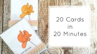 20 Cards in 20 Minutes  Great Gift Idea [upl. by Ecienaj]