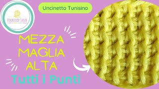 Mezza Maglia Alta  TUTTI I PUNTI TUNISINI [upl. by Anirhtak907]