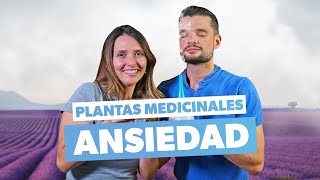 Cómo controlar la ansiedad con plantas naturales [upl. by Mencher89]