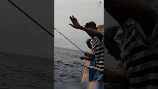 Catching Wahoo Fish in the Sea fish fishing fishingvideo [upl. by Ronoel]