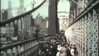 Tarzan jumps from Brooklyn Bridge [upl. by Naahs]