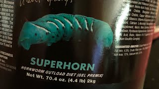 How to make repashy hornworm food Hornworm breeding [upl. by Kcaz]