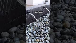 Before and After Stunning Water Feature with River Rocks  WaterFeature UtahLandscaping Utah [upl. by Latif]