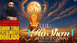 ELUL  HaShem está en el campo  Una superproducción doblada al Castellano [upl. by Samala142]