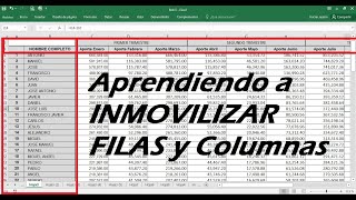 Inmovilizar filas y columnas en Excel [upl. by Codel]