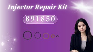 891850 Injector Repair Kit XPI Series  China Made New [upl. by Nohcim908]