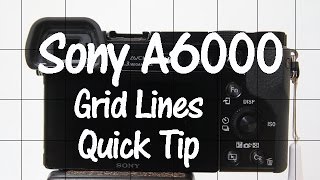 Sony A6000 and A6300 Quick Tip  Grid Lines [upl. by Yadrahs]