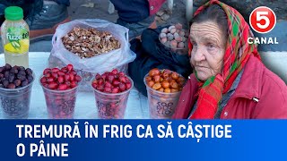 Tremură în frig ca să câștige o pâine [upl. by Ettinger]