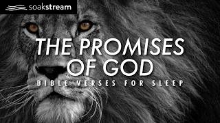 Experience MIRACULOUS Sleep with 100 POWERFUL Bible Verses [upl. by Vinny743]