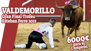 🏆 ¡6000€ DE PREMIO 💥 RECORTADORES CON TOROS EN VALDEMORILLO · Final Trofeo Esteban Ferre 2022 [upl. by Glanville]