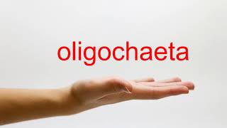 How to Pronounce oligochaeta  American English [upl. by Melody]