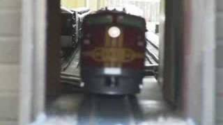 Huge amounts of G Scale Trains [upl. by Mell432]