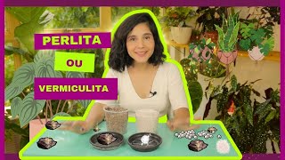 Qual é melhor para as plantas  PERLITA ou VERMICULITA [upl. by Adnohsal]