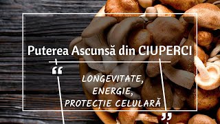 Puterea Ascunsă a CIUPERCILOR Longevitate Energie Protecție Celulara [upl. by Jansen]