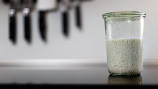 Sourdough starter maintenance  Best way to keep a healthy starter [upl. by Aikmat]