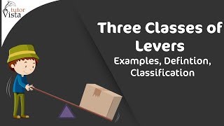 Three Classes of Levers  Examples Defintion Classification [upl. by Schwerin784]