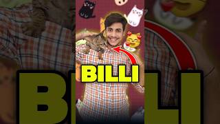 Billi Ka Baccha Aa Gaya 😨😨  Mini Vlog shorts minivlog ashortaday vlog tranding cat [upl. by Atival]