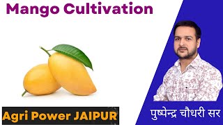 Mango Cultivation  Horticulture classes  Agri Power 8824081104 [upl. by Wolf620]