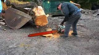 1951 DISSTON DA 211 TWIN CYLINDER chainsaw test cut [upl. by Semmes]