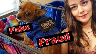 How to Spot a Fake Service Dog [upl. by Carolann322]