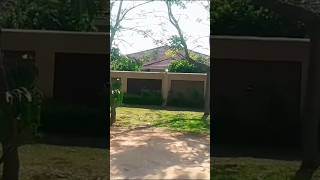 Beautiful Homes in Eastvale in Masvingo Zimbabwe 🇿🇼 property [upl. by Ignatz]