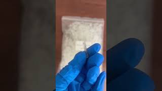 Micropipette Tips  10 ul Micropioette Tips  Non Filter  Microbiology microbiology shorts [upl. by Silvanus35]