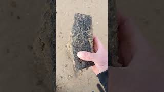 Huge Fossil Find Beachcombing UK beachcombing fossil [upl. by Einatirb]