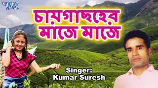 Baganiya Geet  Chaygachher Majhe Majhe  Kumar Suresh  Prit Karle Sajani  Assamese Baganiya Geet [upl. by Divd]