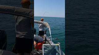 LAKE ERIE has BIG FISH lake fishing fishingmethods lakeerie [upl. by Elisa527]