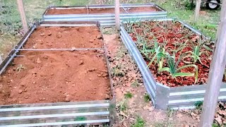 Planting Carrot Seeds For The First Time [upl. by Karwan656]