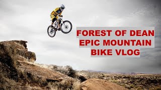 Forest of Dean Mountain biking VLOG BIG CRASH [upl. by Elokyn962]