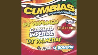 Cumbias Enganchadas 2 [upl. by Adihsar]