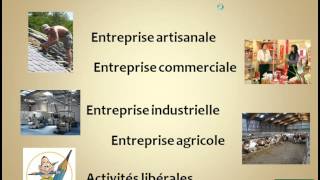 Economie  Les différents types dentreprises [upl. by Bradshaw118]