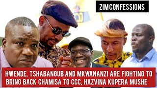 Hwende Tshabangu And Mkwananzi Are Fighting To Bring Back Chamisa To CCC Hazvina Kupera Mushe [upl. by Twyla]