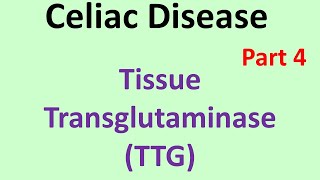 Celiac disease Part 4Tissue transglutaminase TTG [upl. by Atiekan]