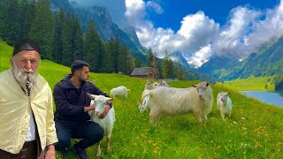 How do people live in remote Swiss villages far from civilization in the Alps full movie [upl. by Dominick]