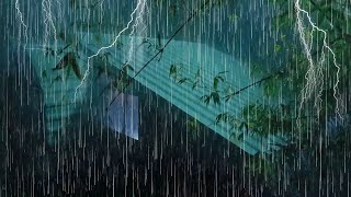 Feel Relaxed and Sleepy with Heavy Rain on Tin Roof [upl. by Anaiv116]