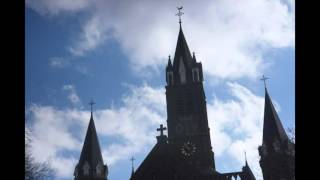 Sint Willebrord St Willibrorduskerk Gis1 B1 Cis2 Dis2 Volgelui [upl. by Goober]